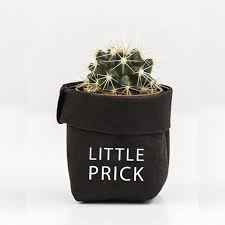 Puns mixing cacti + friendship. Little Prick Cactus Pot Cover Funny Cotton Plant Pot Covers Pikkii