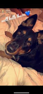 Mara Asher (@Mara_Asher3)