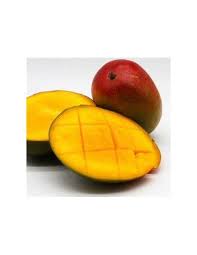 Image result for Mangifera
