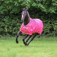 The natural magnetic fields stimulates blood circulation and oxygen flow in the horse's neck and crest, which heals and. Bucas Freedom Turnout Light In Paradise Pink In 85 Cm