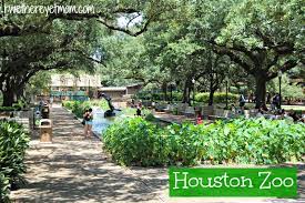 Houston Zoo Houston Tx R We There Yet Mom