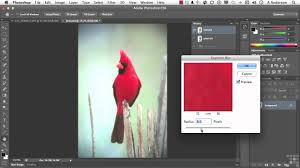 Adobe Photoshop Cs6 Tutorial Using The History Brush And Snapshots Infiniteskills Youtube There are several methods to delete background in photoshop.