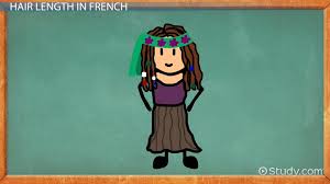 Or (2) she is holding 1 strand of blonde hair. Describing Hair In French Video Lesson Transcript Study Com