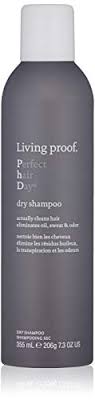 Gentle oak milk in this pick makes it the best dry shampoo for sensitive scalps. Craving For The Best Dry Shampoo For Asian Hair Stop Here