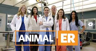 Veterinary emergency care in houston. Vets Gone Wild Gulf Coast Veterinary Specialists