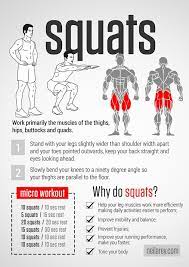 Benefits Of Squats For Men Women Why You Should Squat By Rachael Mathews Medium