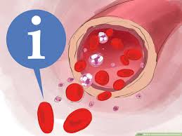 Image result for Red Blood Cell