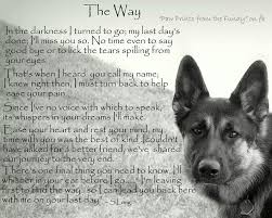 Just Plum Crazy Dog Poems Dog Quotes Pet Remembrance