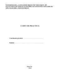 Raport de practica instructiva la specialitatea informatica. Caiet Practica Management An Ii