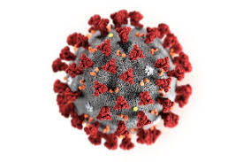 USA Virus News: A Comprehensive Guide to the Latest Developments