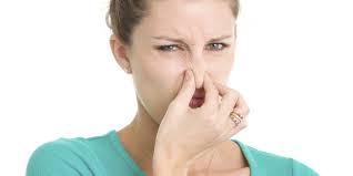 When your girlfriend starts farting in front of you, is it the end? | by  Mashster | Medium