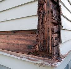 Jim fredericks, chief entomologist of the national pest management association, lists a few of the telltale signs of a termite infestation in the video below. Termites Could Be Eating Up Your Life Savings Dewey Pest Control