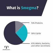 Smegma: What Is It And How Can I Get Rid Of It? – Promescent