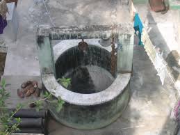 Image result for à®ªà®¾à®¤à®¾à®³ à®•à®°à®£à¯à®Ÿà®¿