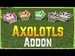 Jan 14, 2021 · axolotli addon new mobs to minecraft! Axolotls Addon In Minecraft Pe 1 16 1 16 40 Nether Update Youtube