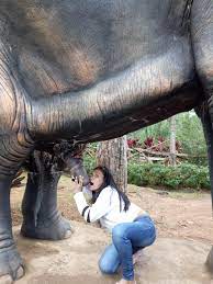 WINST, a women pretending to blow an elephant pp : rWINST