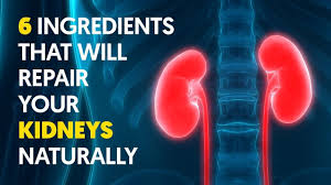 How To Naturally Repair Kidney Damage With These 6 Ingredients
