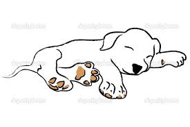 A Black And White Spotted Dog Sleeping On A Rug Description From Fotosearch Com I Searched For This On Bing Com Im Sleeping Drawing Dog Drawing Sleeping Dogs