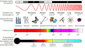 What The World Really Looks Like Miracles Under Your Nose