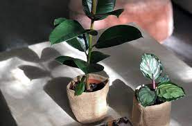20 most useful corporate gift ideas for your valuable employees. Show Someone You Care With The Best Gift Deliveries In Melbourne Urban List Melbourne