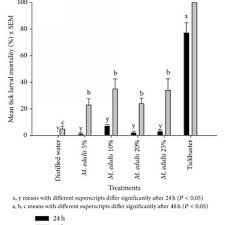 Image result for Maerua edulis