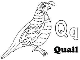 Grab Your Fresh Coloring Pages Quail Download Https Gethighit Com Fresh Coloring Pages Quail Download Che Abc Coloring Pages Coloring Pages Coloring Books