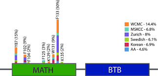 Schematic Overview Of The Spop Gene And Localization Of Mutations The Download Scientific Diagram