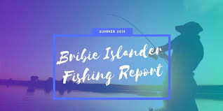 It is then followed by a high tide at 07:47 with a maximum best fishing times for woolloongabba, australia. Fishing Report And Tide Times Bribie Island March 2019 The Bribie Islander