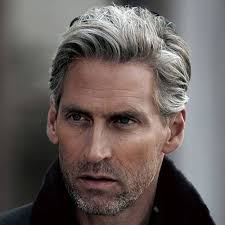 But nowadays its become more and more commonplace for those who are actually going grayand not purposefully using gray hair colorto embrace it with highlights and lowlights that. 21 Best Men S Hairstyles For Silver And Grey Hair Men 2021 Guide