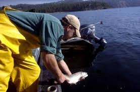 Mistakes Of Past Nearly Killed Lake Pend Oreille The