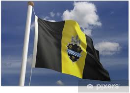 Pittsburgh is defined by many things, most notably its colors of black & gold. Pittsburgh City Flag Poster Pixers We Live To Change
