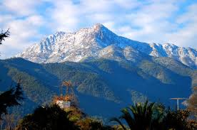 Olmue Fundacion Terram