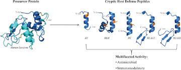 Your highness (2011) cast and crew credits, including actors, actresses, directors, writers and more. Bentham Science Publisher Of Excellence For All Biomedical Medical And Pharmaceutical Decision Makers