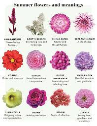 Flower symbolism meaning and significance. Flower Meanings