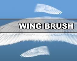 Angel wings photoshop brush set. Angel Wings 2 Fantasy Photoshop Brushes Brushlovers Com
