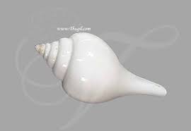 We would like to show you a description here but the site won't allow us. 7 Inch Pooja Conch Sea Shell Natural Rare Edampuri Sangu Buy Now