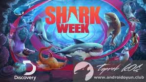 Hungry Shark Evolution V4 1 0 Mod Apk Mega Hileli Shark Shark Art World Generator