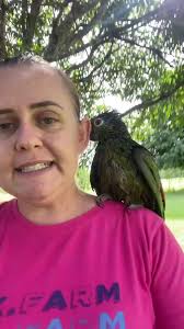 Nature is Amazing ☘️'s Video