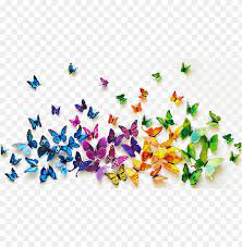 Butterflies Png Background Image Transparent Background Butterflies Png Image With Transparent Background Png Free Png Images Background Images Butterfly Clip Art Transparent Background