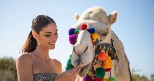 Pack a few different swimsuits, you'll. Camel Tour Cabo San Lucas And Jeep Safari Los Cabos Tours Los Cabos