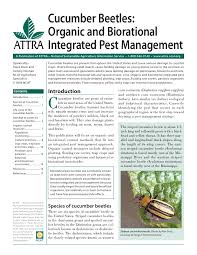 You might find it valuable, too! Cucumber Beetles Organic And Biorational Integrated Pest Management