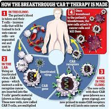 The planetary alignment makes you want to rush things, but you need to show patience. Stunning Therapy Lands Knock Out Blow To Cancer Daily Mail Online