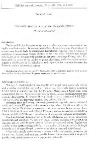 Image result for Stolzia cupuligera