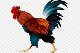 Land Animals Png Images Pngegg