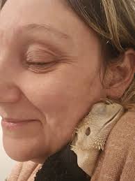 I Want Your Dinner: A Progression by Ralphie (Alternate Title: How Do You  Resist This Face?!)