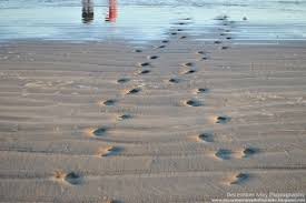 Footprints in the Water – He Said What?!