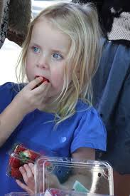 Kookaberry Strawberry Farm