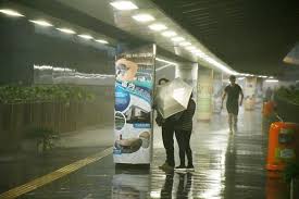Provided to youtube by ingrooves 紅雨 · hakobune rain studies ℗ 2019 constellation tatsu released on: æŒ¾ç™¾å…¬é‡Œé™£é¢¨ä¾†çŠ¯ç™½æ™è®Šé»'å¤œä»Šå¹´ç´…é›¨é¦–è¥²æ¸¯å¥ª2å'½ é¦™æ¸¯å•†å ±