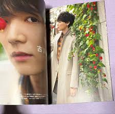 古川雄輝 雑誌 TricksterAge/TVガイドdan/Person