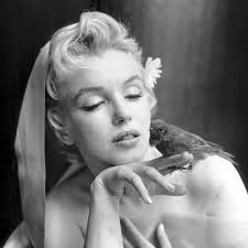 ☆ Iris Meredith (c. 1940s) #irismeredith #iconicwomen #timelesselegance  #vintagebeauty #vintageactress #hollywoodlegend #oldhollywood #1940s  #oldmovies